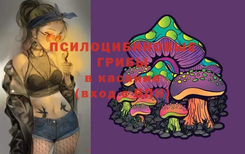 Псилоцибиновые грибы Psilocybe  Магадан 